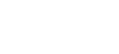 G20