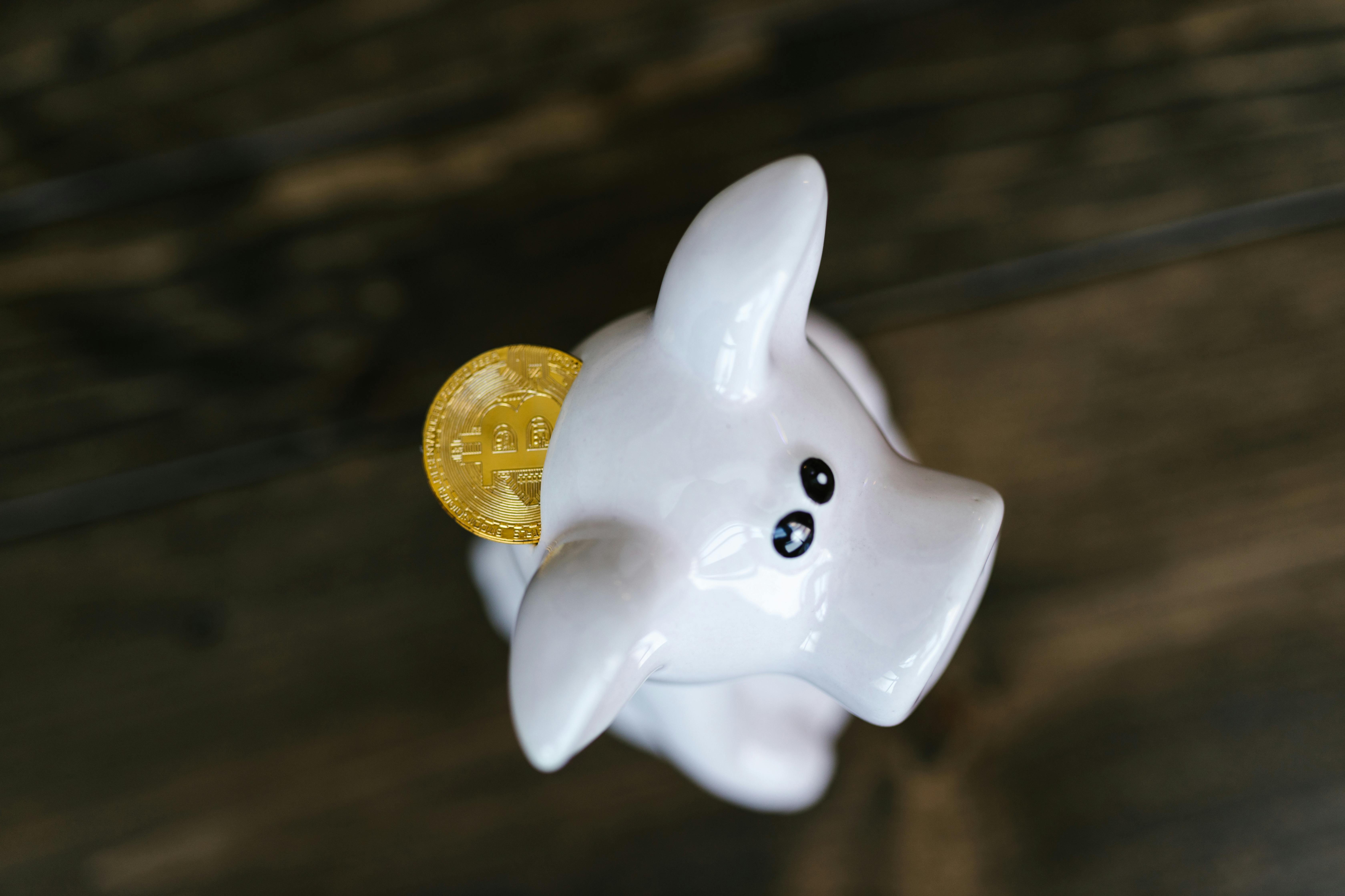 Synapse Power Announces XNAP Mainnet Launch on PancakeSwap