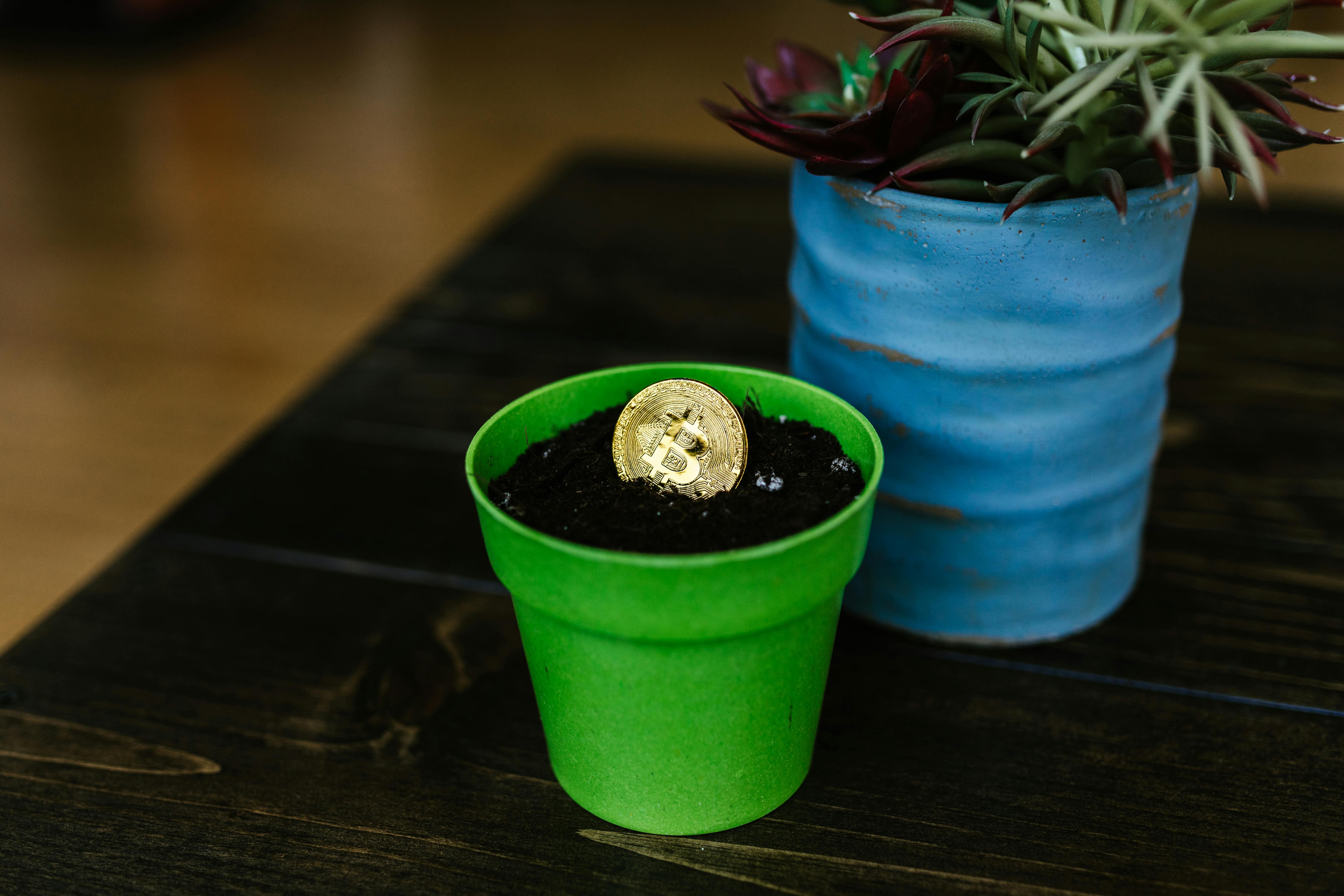 Le pont numérique : pourquoi la localisation des documents est essentielle pour le marché éthiopien émergent