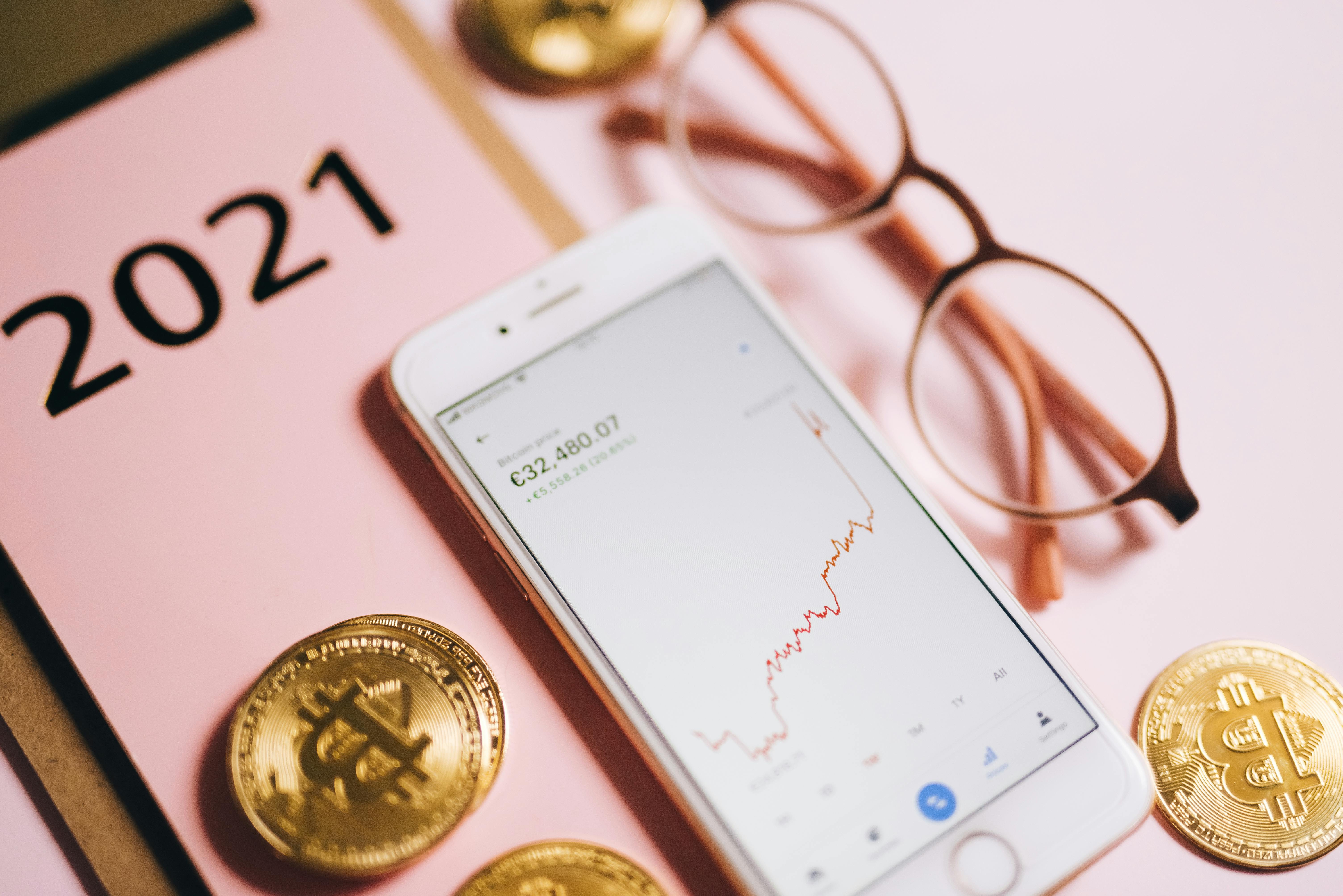 How to Choose the Best Pet Travel Option to Hong Kong