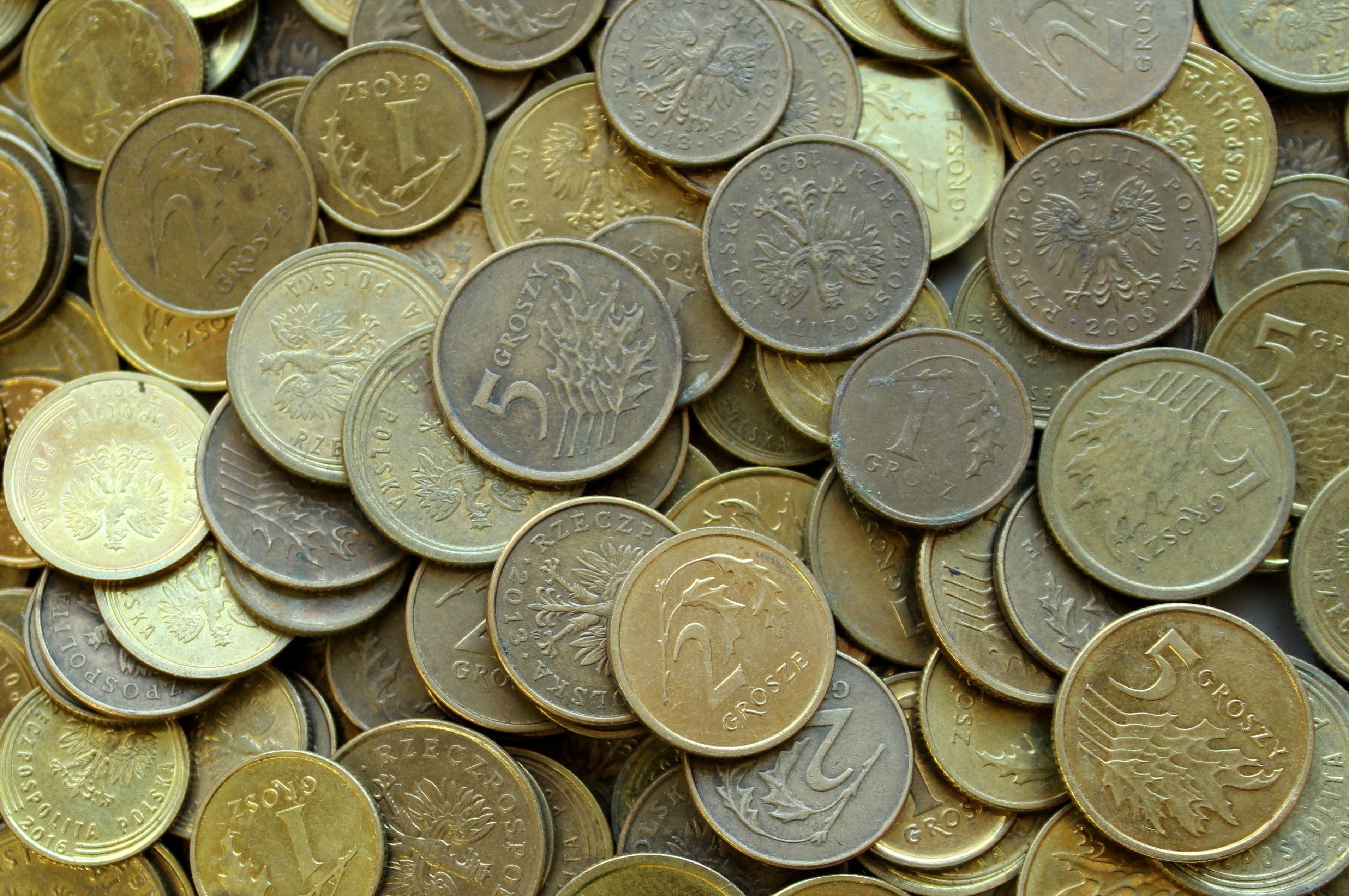 BYD hits a January speed bump as China’s EV market shows demand slowdown