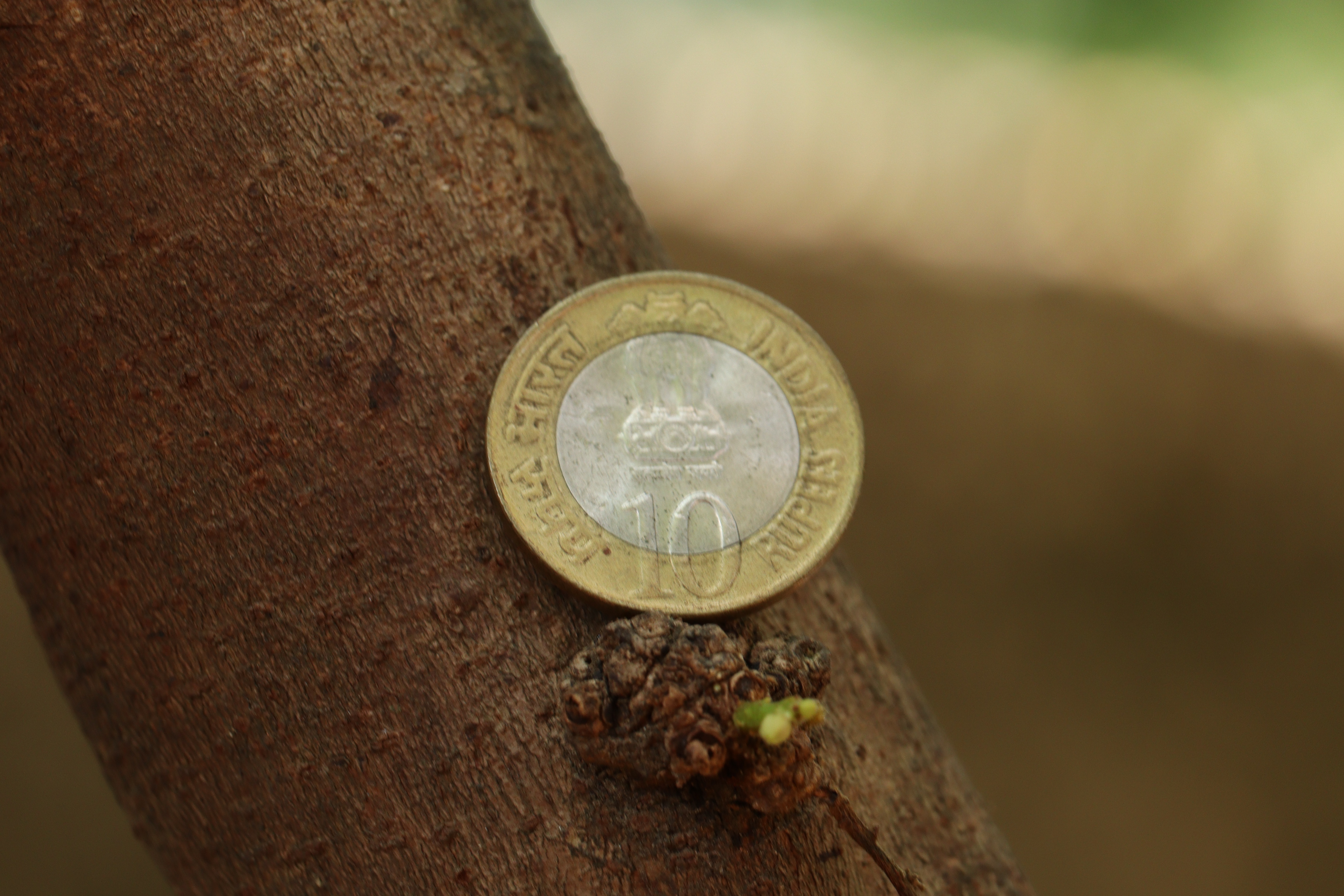 Why Choose 10x Commerce as Your Professional Amazon Growth Agency