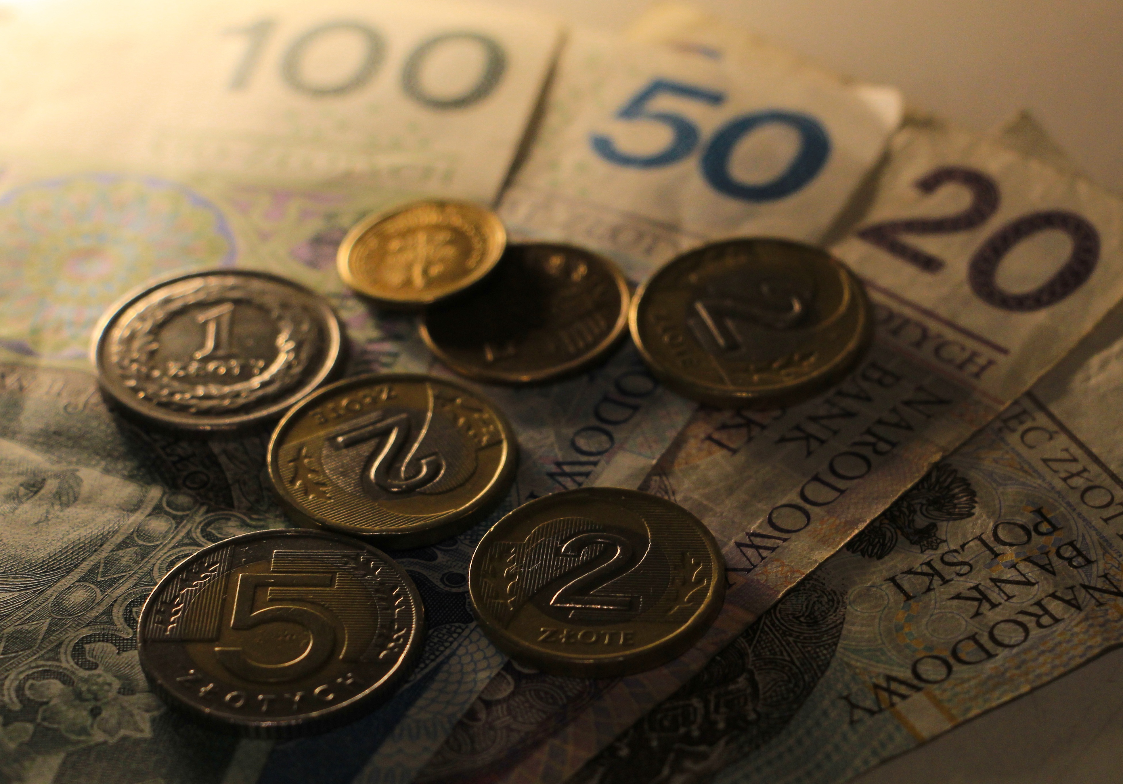 How AI-Powered Search Is Reshaping the Digital Economy in 2026