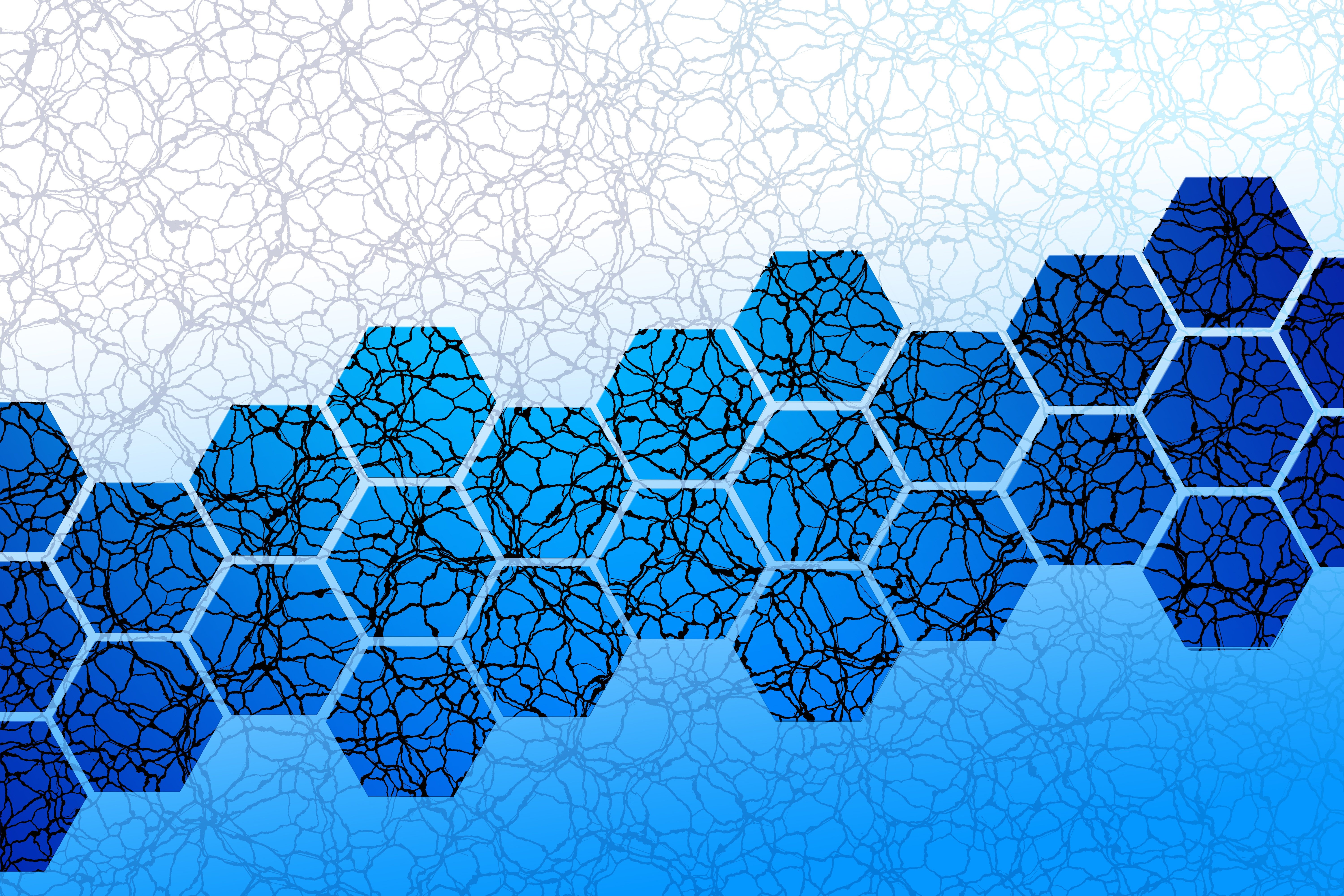 Dogecoin Price Stability at $0.12 Sets Stage for Potential Rally to $0.20