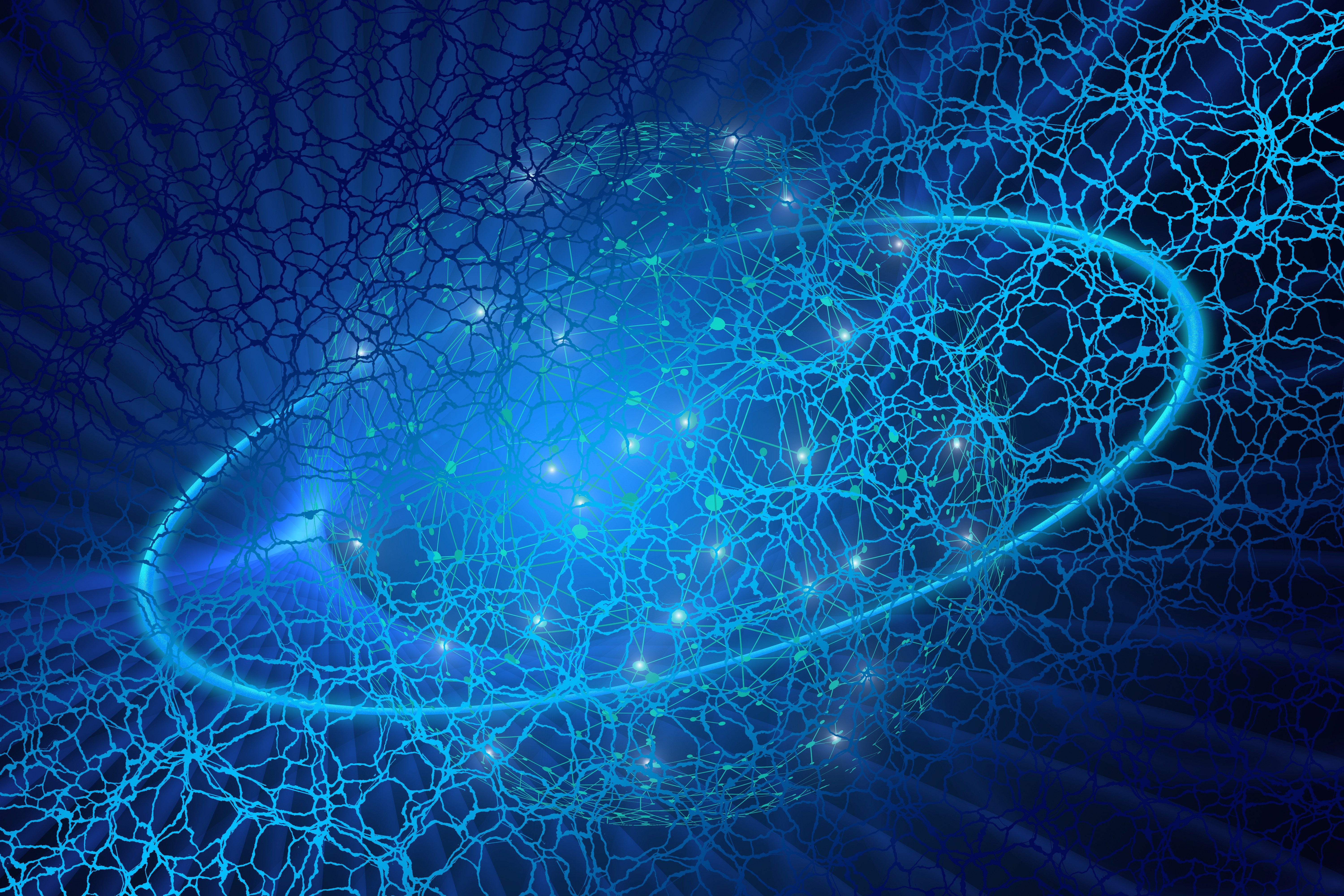 Transacta Launches No-Integration Crypto Payments for Luxury Businesses Across the U.S.